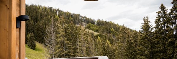 puitalm-28.05.2025 (38 von 96)
